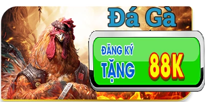 kuwin: có sảnh game cá cược đá gà kuwin thú vị